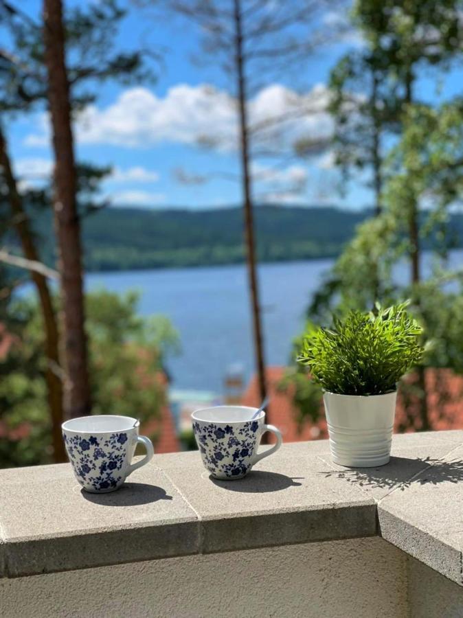 Апартаменты Apartman Ctyrlistek Lipno Липно-над-Влтавой Экстерьер фото